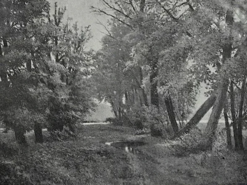 1863-Eugen John - Autunno nel Mark vicino a Potsdam